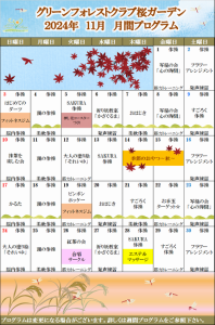 11月GC月間プログラム